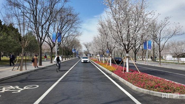 2025中关村论坛年会现场（央广网记者  朱冠安  摄）