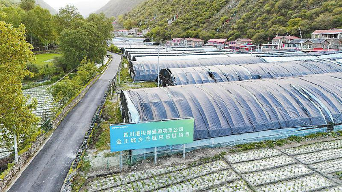 新通道公司城乡冷链物流（金川）直采基地。