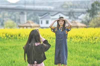 ▲游客在观山湖区郝官村油菜花田拍照。     贵阳日报融媒体记者 杨才江 摄