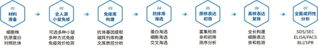 ▲ 图3. 抗Target A抗体发现的筛选流程