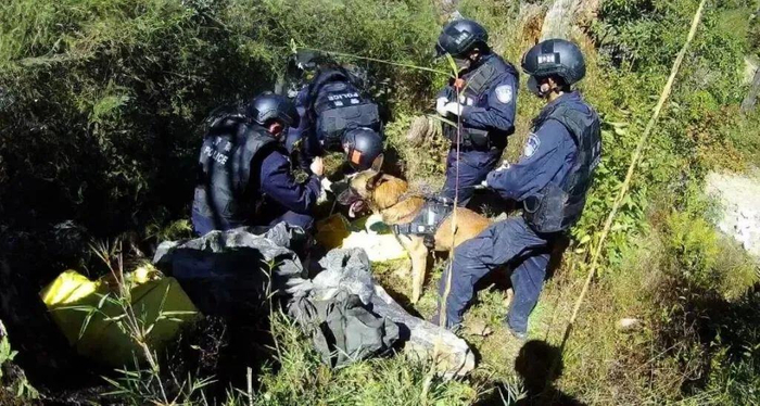 腾冲边检站移民管理警察查获涉案物资现场