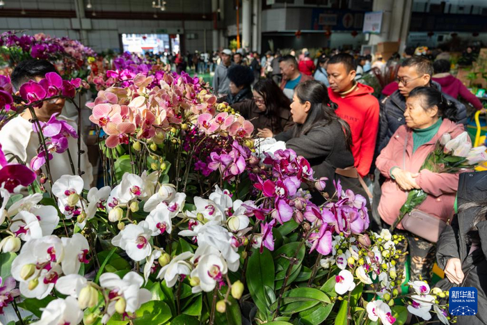 1月22日，游客在斗南花卉市场内游览选购鲜花。新华社记者 陈欣波 摄