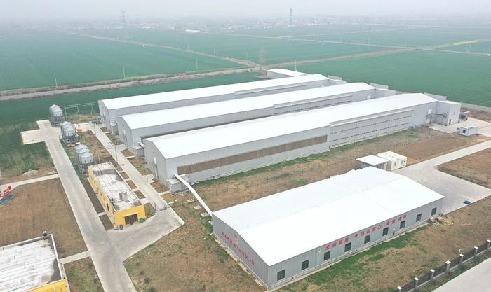 来源：蛋品世界综合、星辰视点