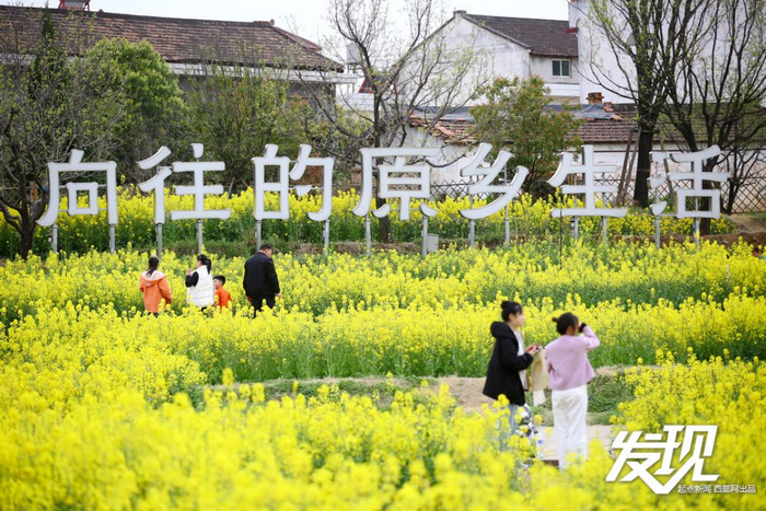 汉中洋县，游客在油菜花海中感受自然。