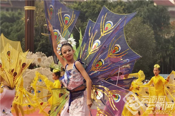 孔雀舞 陈思蒙 摄