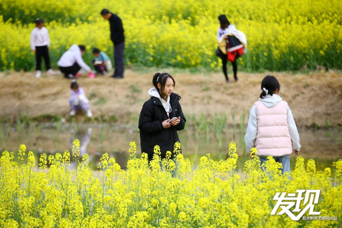 汉中洋县，游客在油菜花海中打卡拍照。