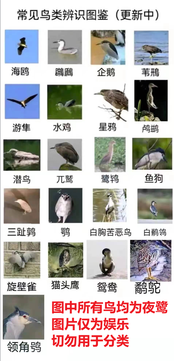 图片来自网络