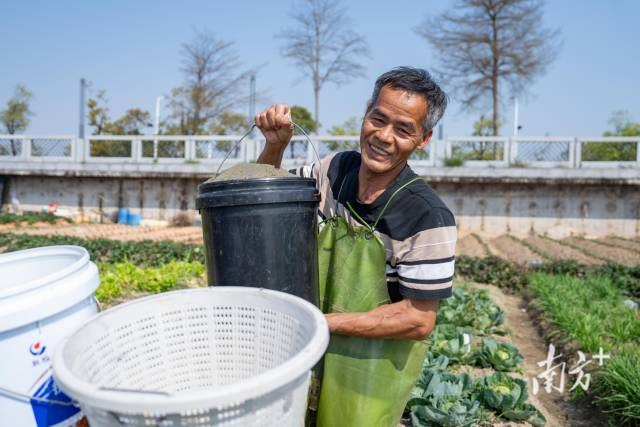 王燕雄准备将新鲜的涂虾送往市场售卖。