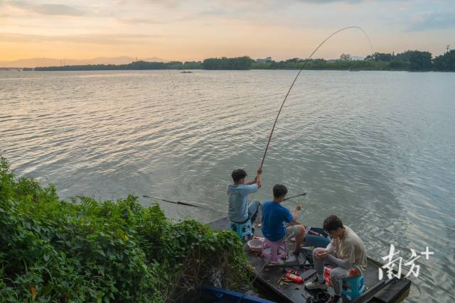 夕阳下，市民在榕江边垂钓。