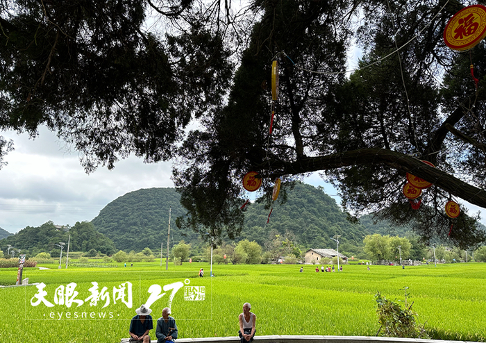 鲍家屯村前的田野。