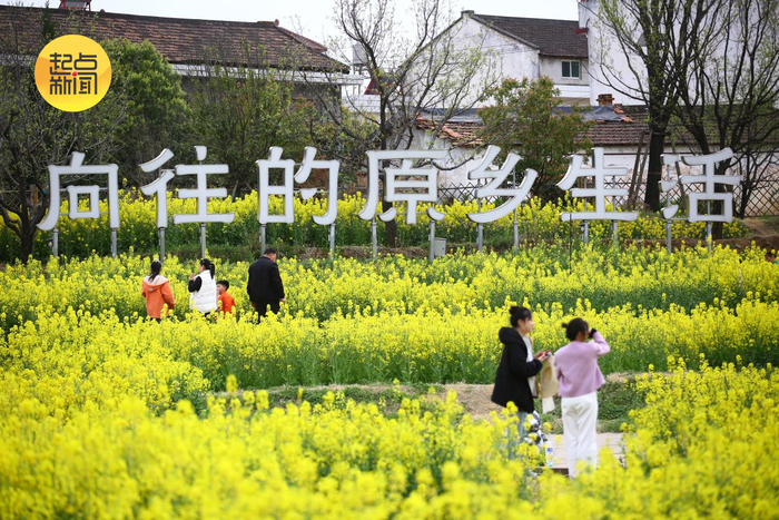 洋县将10个有机生产基地变身农文旅示范点。