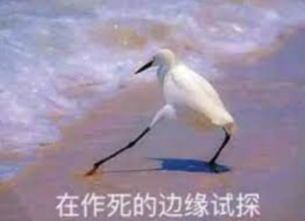 图片来自网络