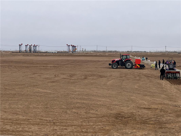 　　巴彦淖尔国家农高区硬质小麦技术创新中心园区小麦立体匀播现场
