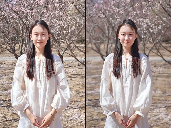 使用创意辅助功能拍摄出的背景虚化对比