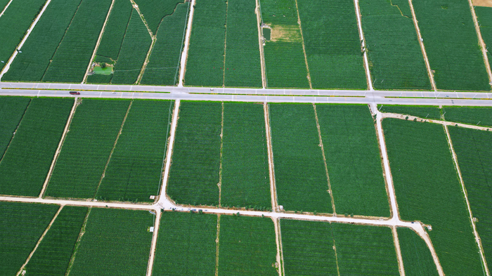 砚山县连片蔬菜基地航拍。张文峰 摄