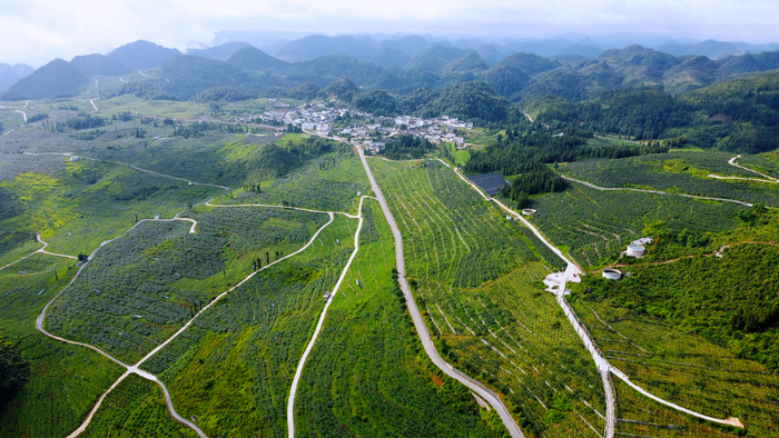 西畴县“三光片区”航拍。张文峰 摄