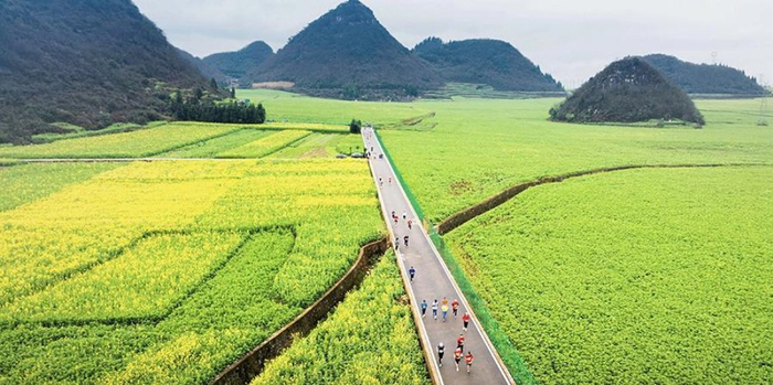 2025曲靖罗平马拉松比赛上，选手在油菜花田间奔跑（2025年2月23日摄）