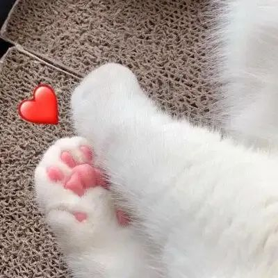 来源：三门峡市公安局