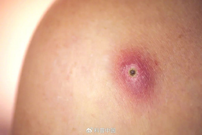 图库版权图片，转载使用可能引发版权纠纷