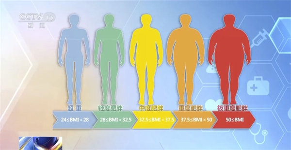 体质指数（BMI） 来源：央视网