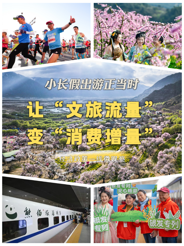 　　作者：张梦洁、王鹤霖、宋泽宇