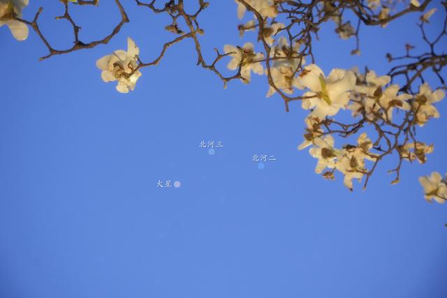 2025年3月28日在北京丰台区丰台花园拍摄的火星和双子座中的北河三、北河二。（王俊峰 摄）