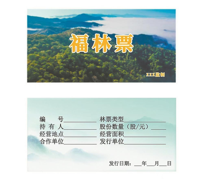 “福林票”统一样式  （资料图片）