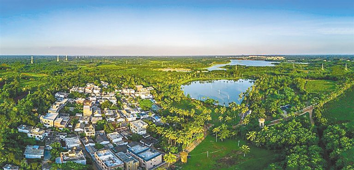 　俯瞰海口红旗镇本立村，环境优美，绿意葱茏。记者 康登淋 摄