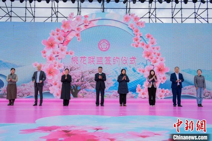  图为林芝市“桃花联盟”签约仪式现场。林芝市委宣传部供图