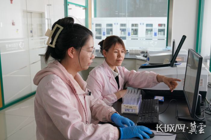 丁立秀（右一）与研究人员交流实验进展。长城网·冀云客户端记者 马静 摄