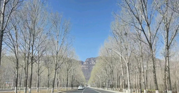 通往石板岩镇的土路已变成柏油马路