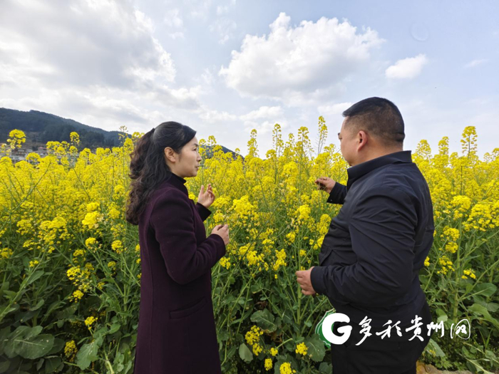 邱宁宏与学生张弛查看油菜生长情况