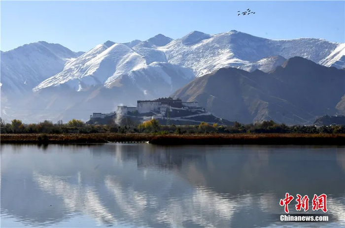  在拉鲁湿地拍摄的布达拉宫与雪山。中新社记者 李林 摄