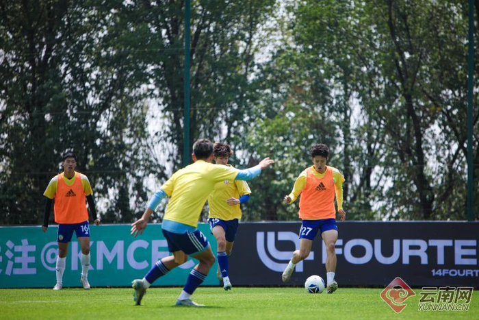 赛前训练图 周罗希 摄