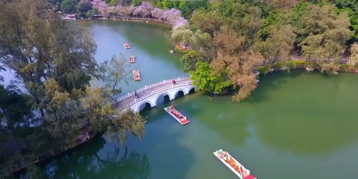 △图源 星湖美美