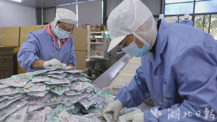 工人正在分拣魔芋休闲食品。一致魔芋供图