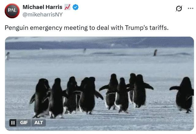社交媒体截图帖文翻译：企鹅紧急开会应对特朗普关税。