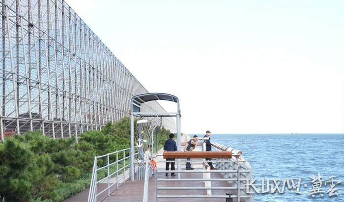 秦皇岛港观海平台。秦港股份 供图