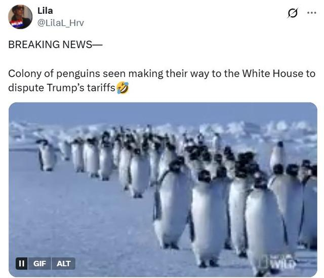 社交媒体截图帖文翻译：突发新闻——一群企鹅前往白宫，抗议特朗普关税