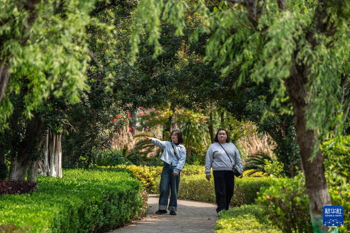 4月6日，游客在云南省红河州弥勒市红河水乡小镇游玩。新华社记者 胡超 摄
