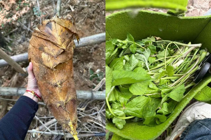 打野群里网友分享战利品