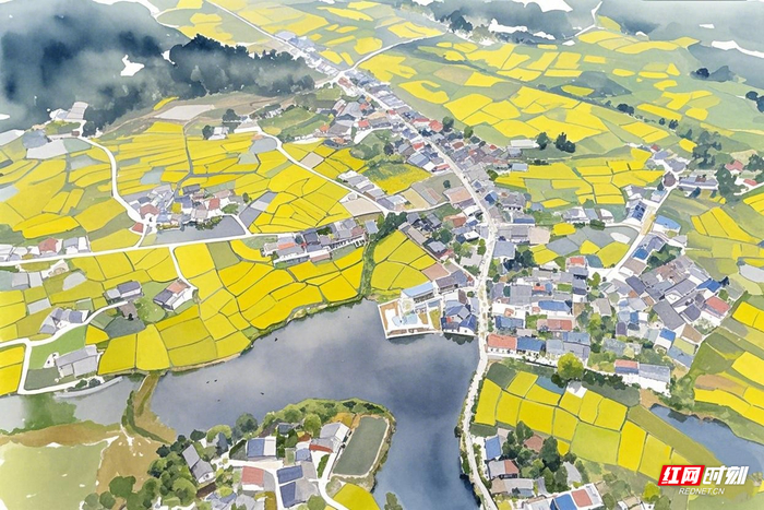 平江县木金乡的油菜花海。