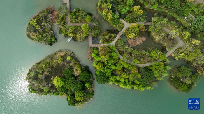 4月6日拍摄的云南省红河州弥勒市红河水乡小镇一景（无人机照片）。新华社记者 胡超 摄