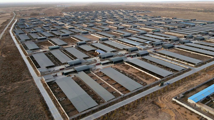 甘肃峰伟宝农牧有限公司圈舍外景（无人机照片）。新华社记者郭刚 摄