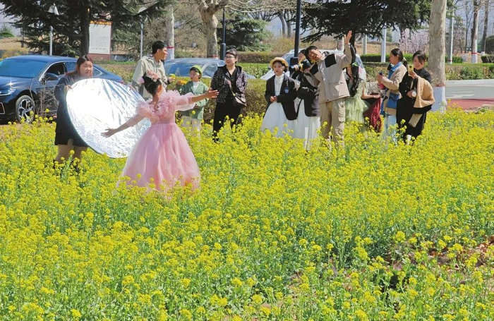 襄汾丁村旅游公路旁的油菜花田里，游客正在拍照打卡。闫锐鹏/摄