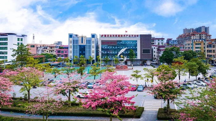 △肇庆金利高新区。赖家乐 摄
