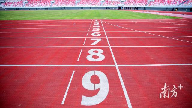 2025世界田联接力赛组委会供图