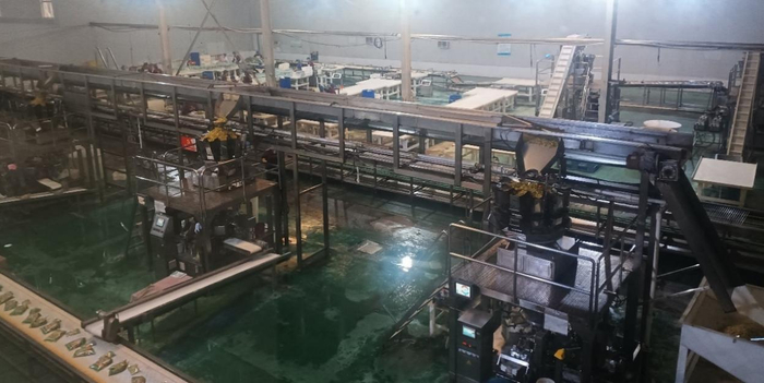 图3. 鸡泽县泡菜规模化生产线一角