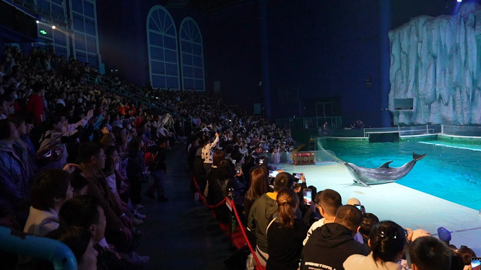 哈尔滨极地公园演出人气爆棚