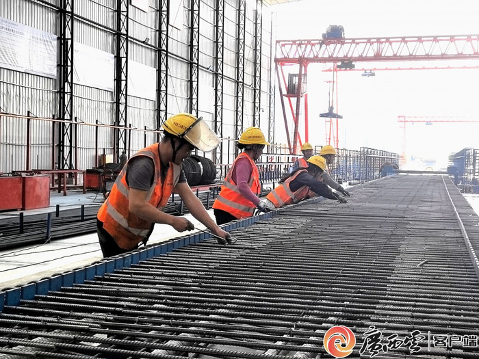 桂林至钟山高速公路工人正在绑扎T梁顶板钢筋。广西交通投资集团供图